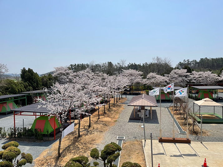 함평 나비마을 서울캠핑장 사진01