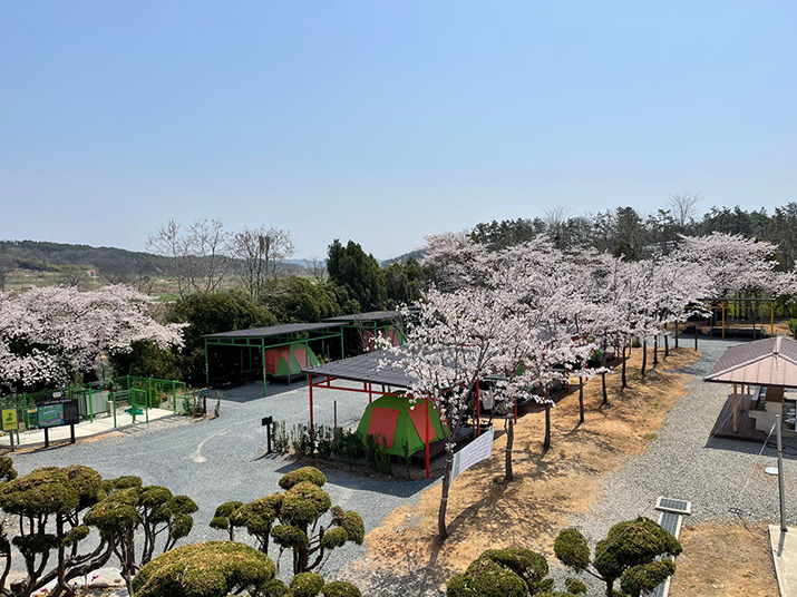 함평 나비마을 서울캠핑장 사진02