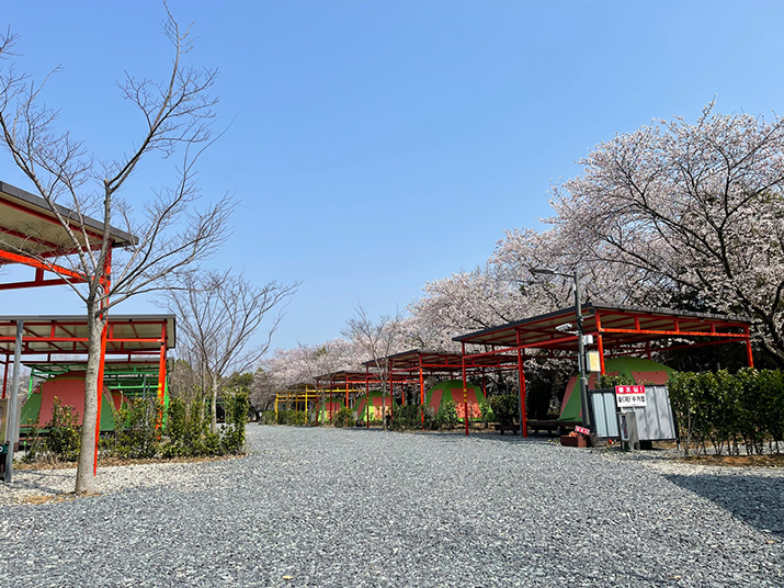 함평 나비마을 서울캠핑장 사진03