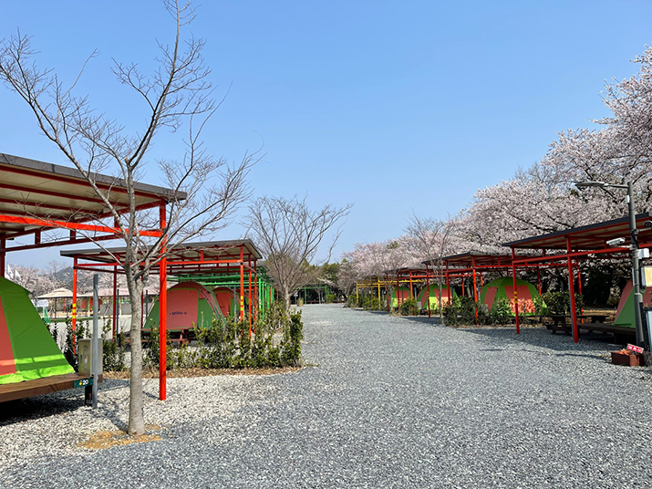 함평 나비마을 서울캠핑장 사진05