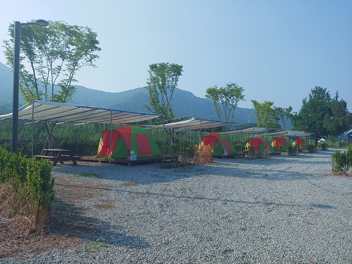 상주 감꽃마을 서울캠핑장 사진01