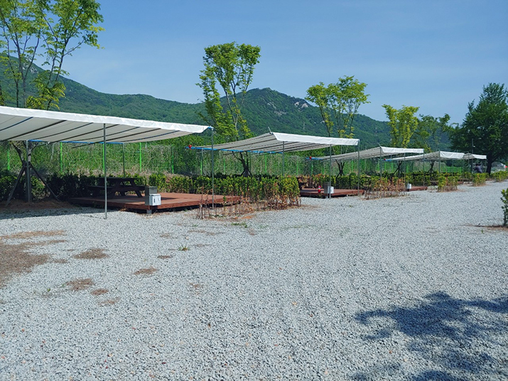 상주 감꽃마을 서울캠핑장 사진08