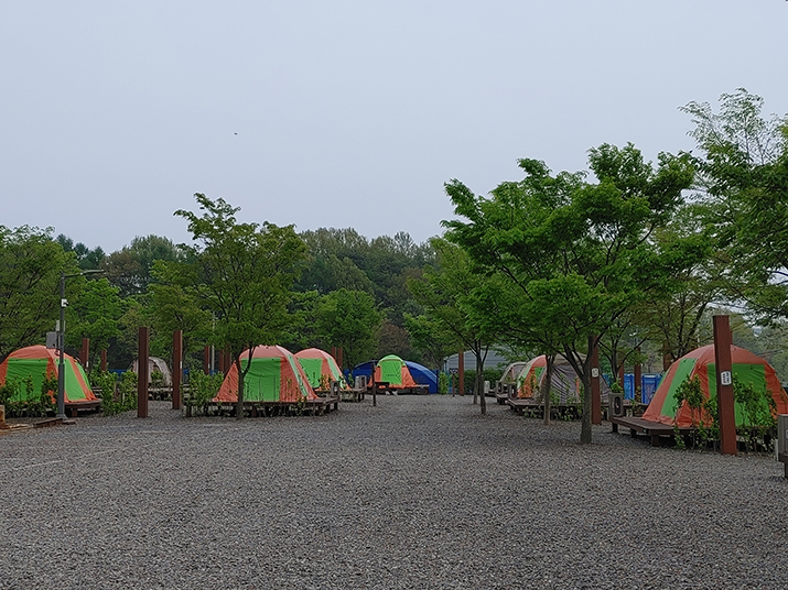 서천 금빛노을 서울캠핑장 사진02