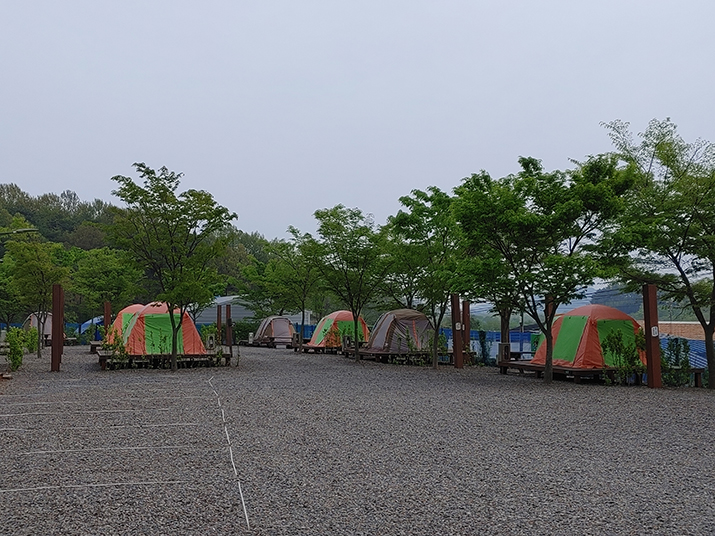 서천 금빛노을 서울캠핑장 사진03