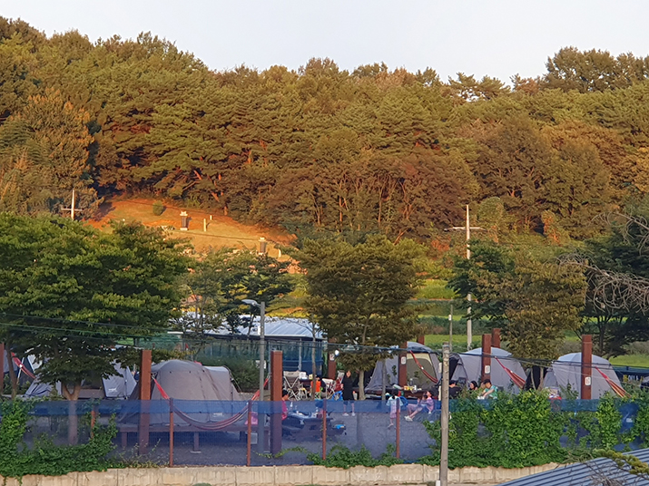 서천 금빛노을 서울캠핑장 사진05