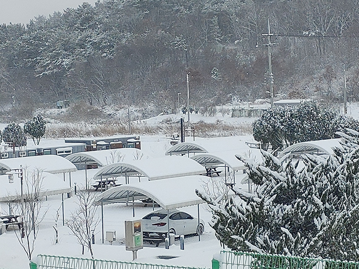 서천 금빛노을 서울캠핑장 사진08