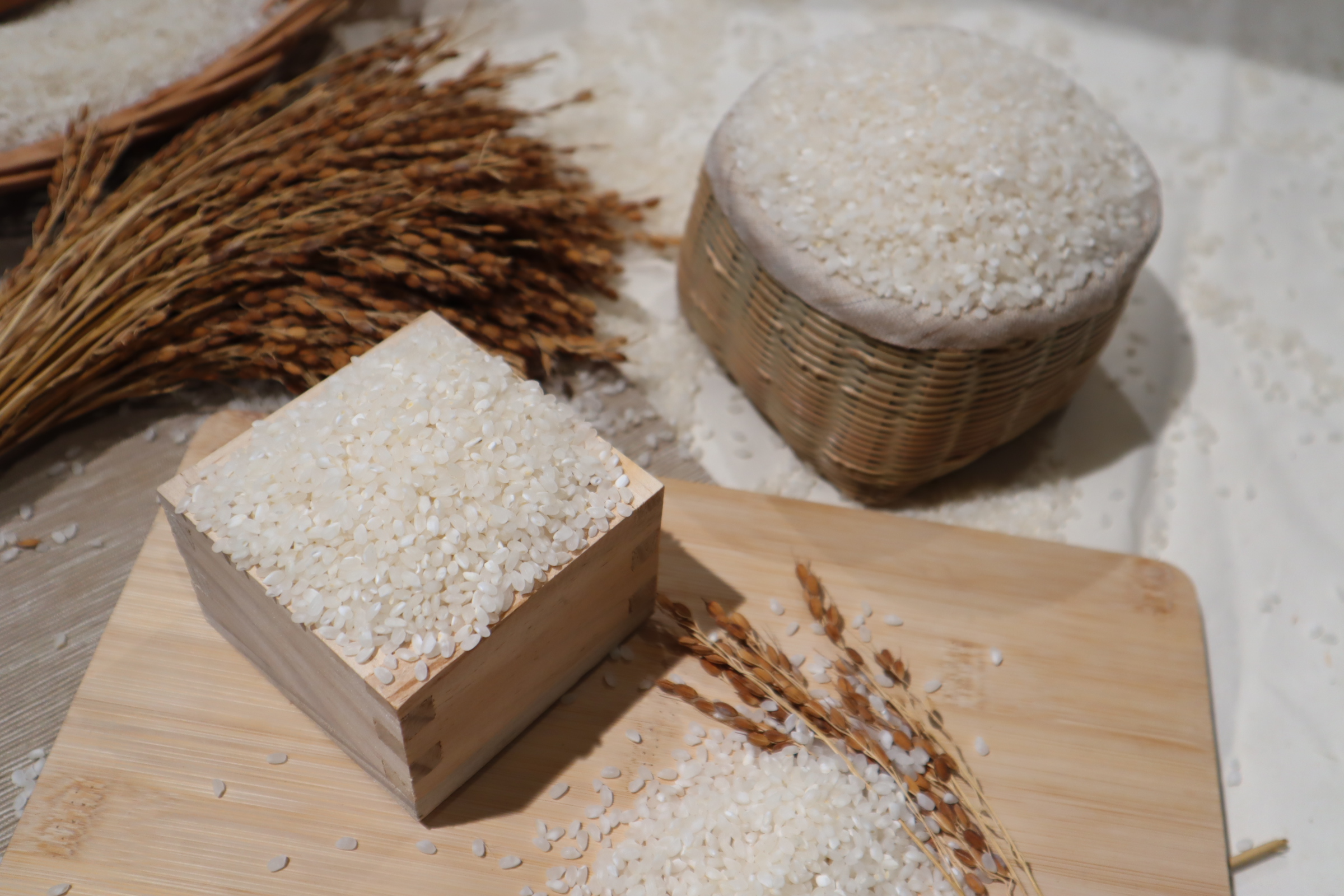 철원 오대쌀 됫박에 담은 이미지 사진