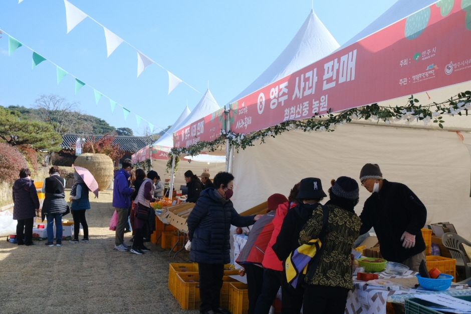 이미지 미리보기